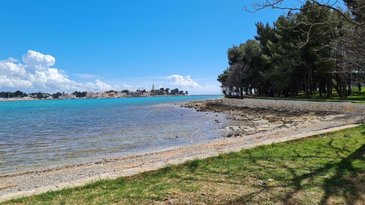 Apartments Kivi Novigrad Istria Buitenkant foto