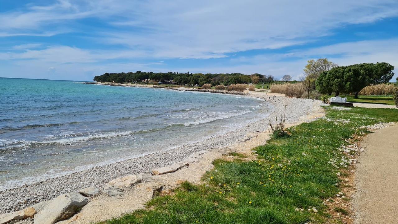 Apartments Kivi Novigrad Istria Buitenkant foto