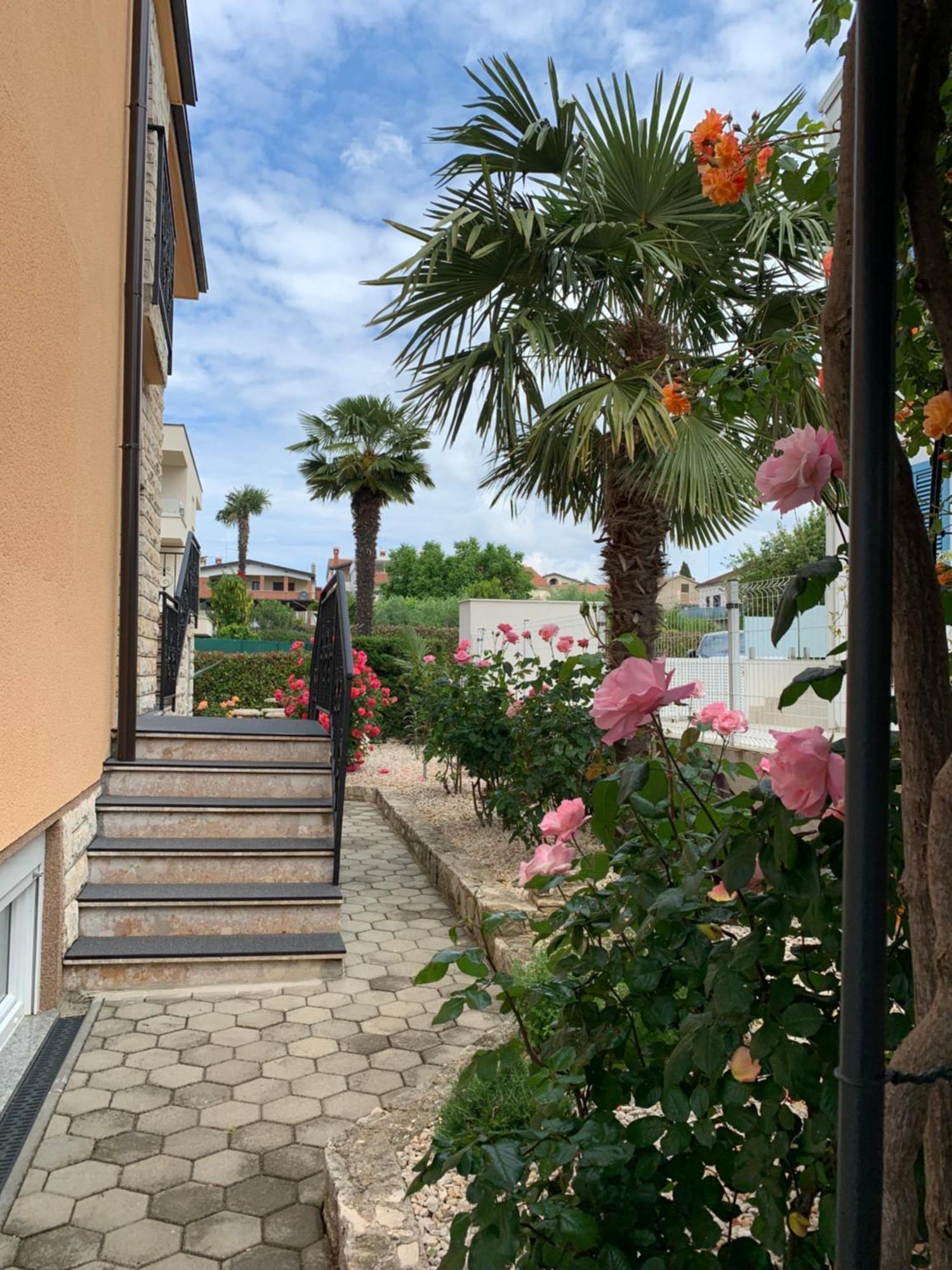 Apartments Kivi Novigrad Istria Buitenkant foto